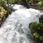 Untertalbach bei der Mühle (Kein Klappern mehr)